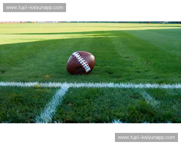 战火重燃：德国与冰岛的绿茵碰撞，不仅仅是足球！